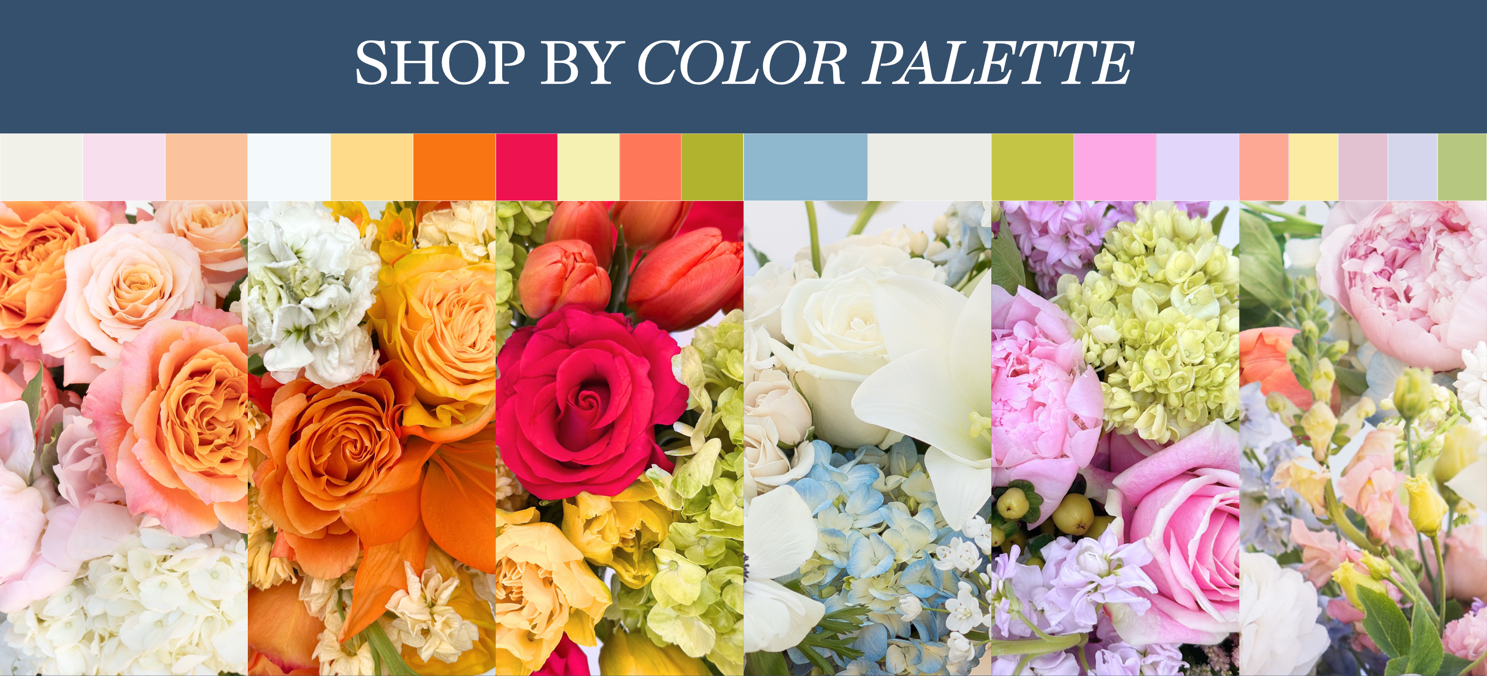 shop_by_color_palette_desktop.png