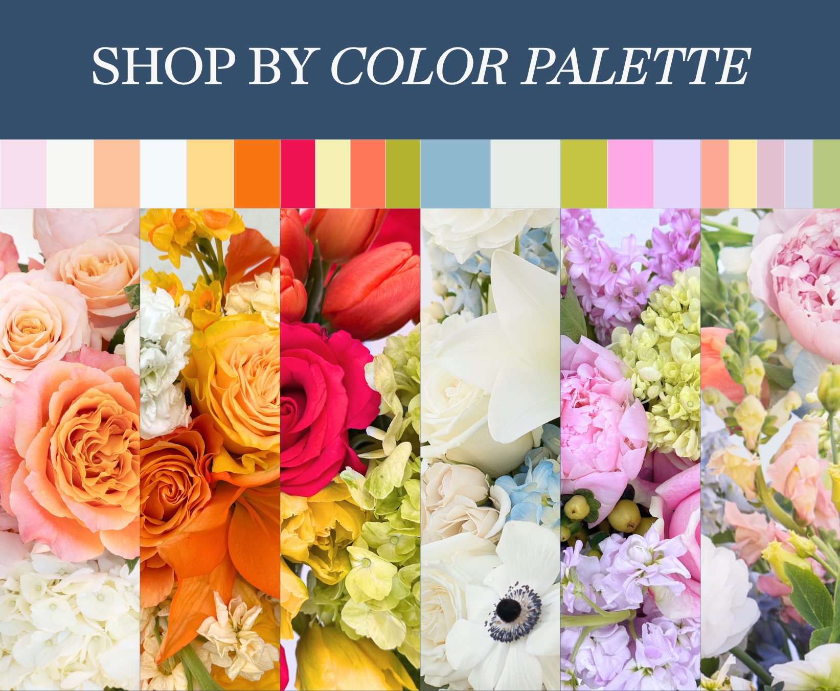 shop_by_color_palette_mobile.png
