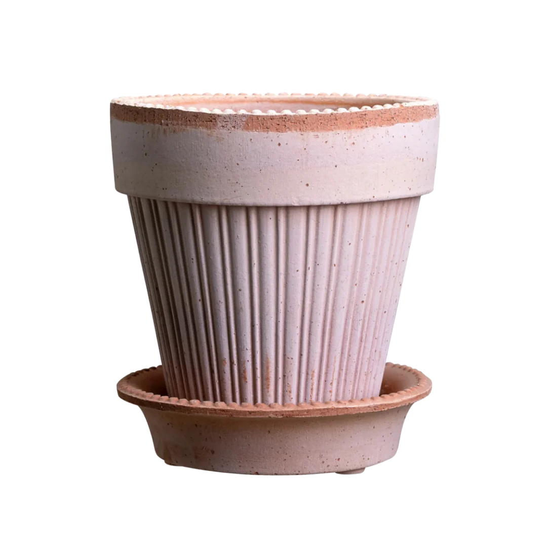 Simona Raw Rosa Pot by Berg's Potter