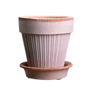 Simona Raw Rosa Pot by Berg's Potter