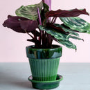 Simona Glazed Emerald Green Pot by Berg's Potter
