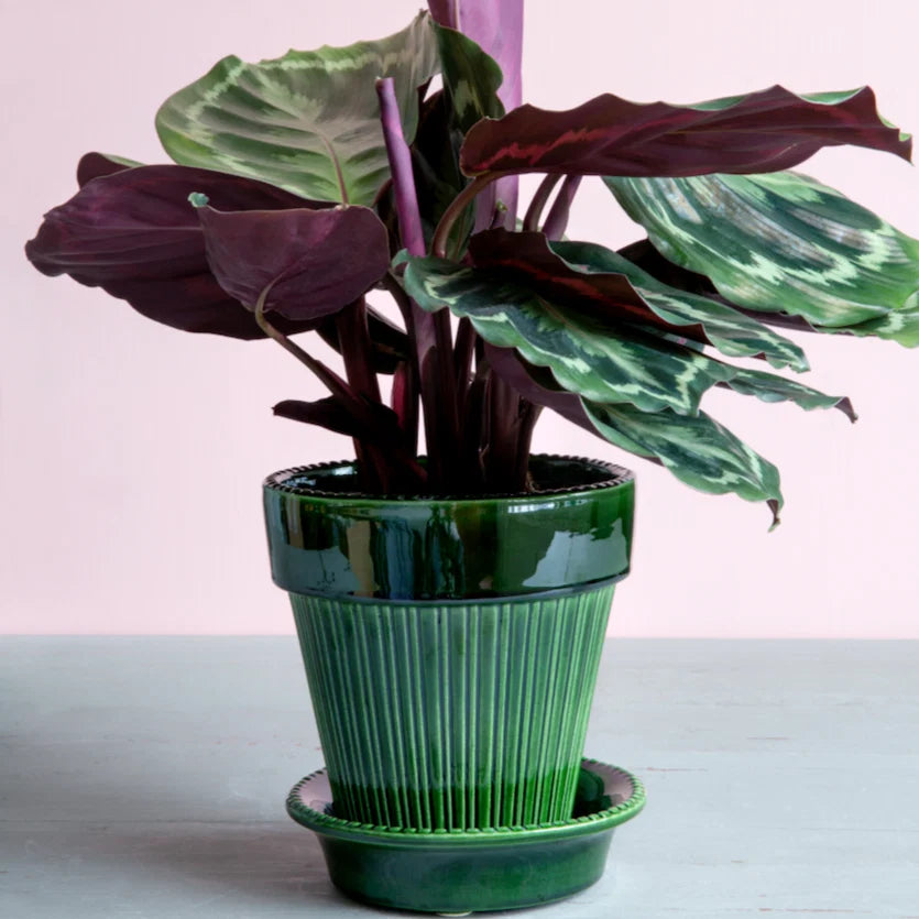 Simona Glazed Emerald Green Pot by Berg's Potter