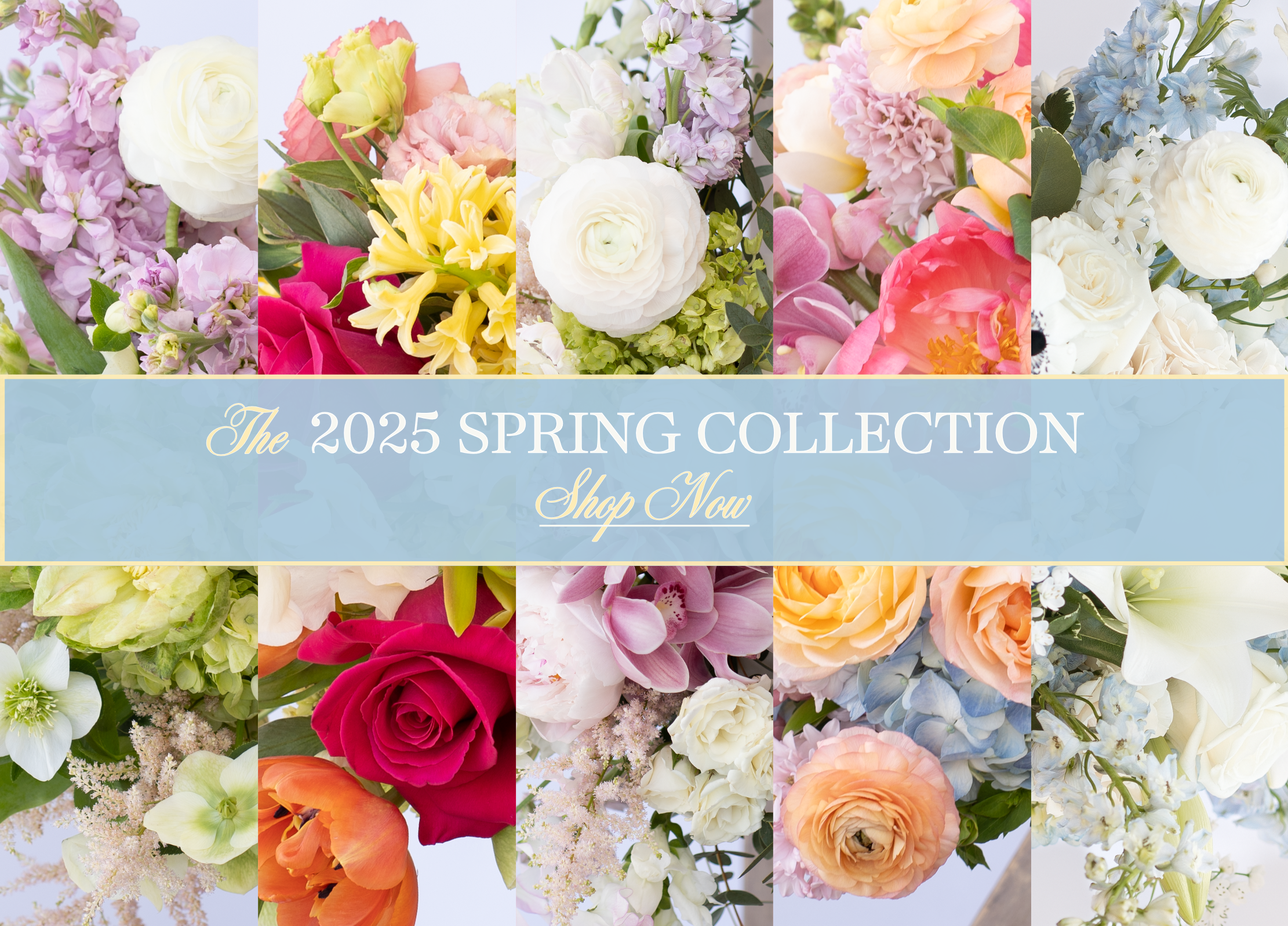 spring_collection_banner_-_mobile.png