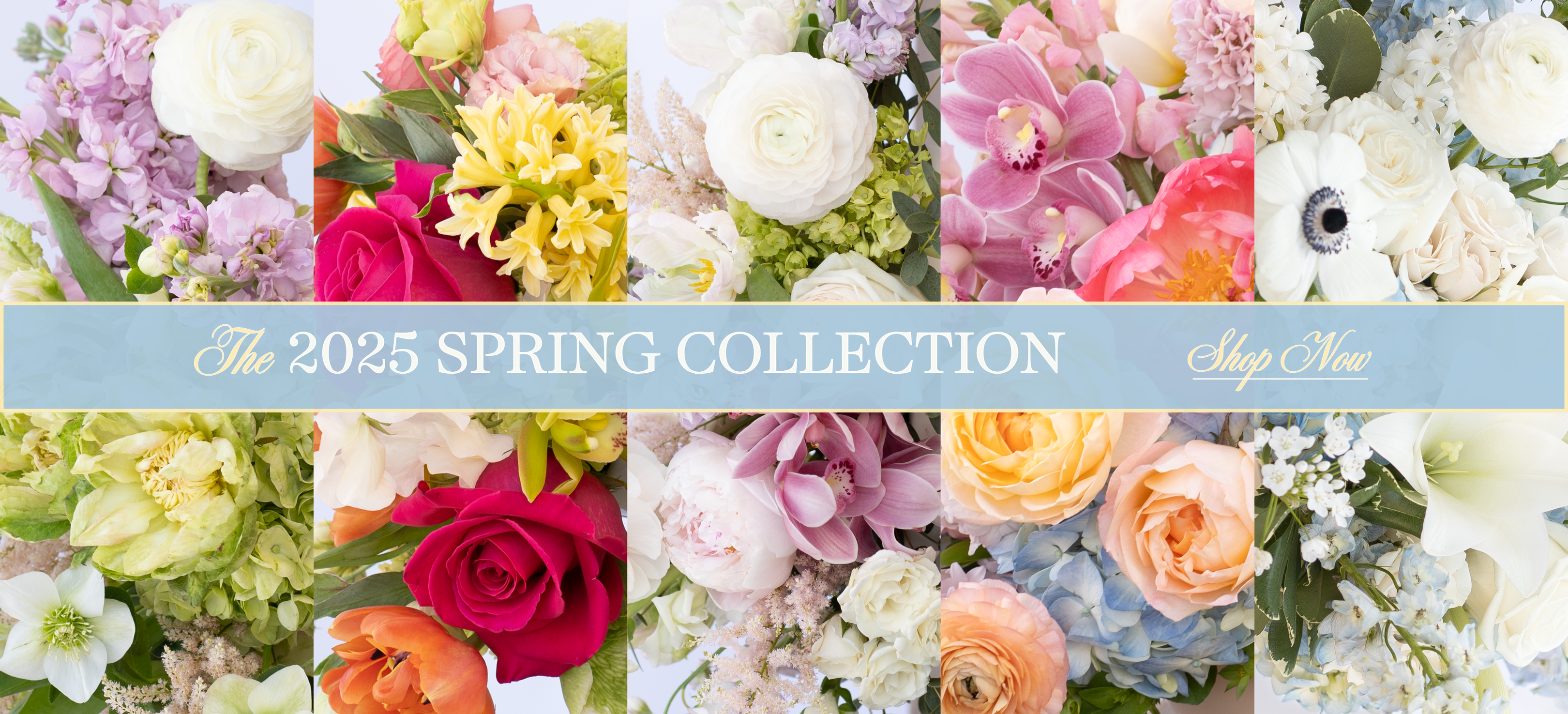 spring_collection_header.png