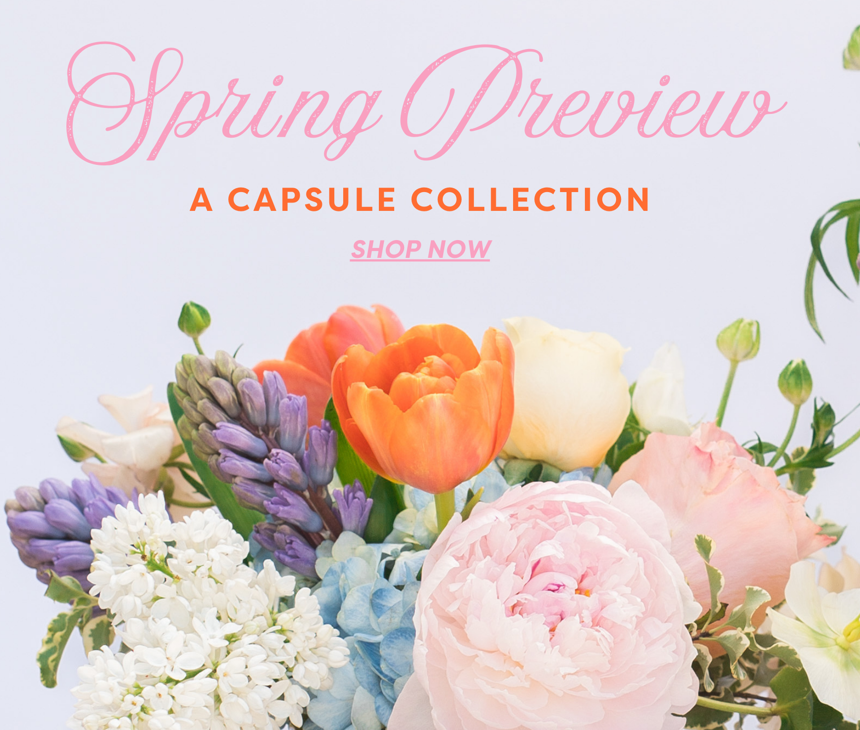 spring_preview_-_updated_6c8c29c9-3575-4688-a130-17238883d0e2.png