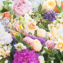 Designer's Choice Arrangement - Spring Mix