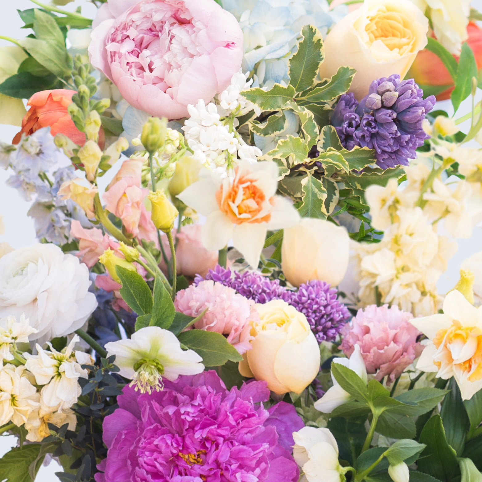 Designer's Choice Arrangement - Spring Mix