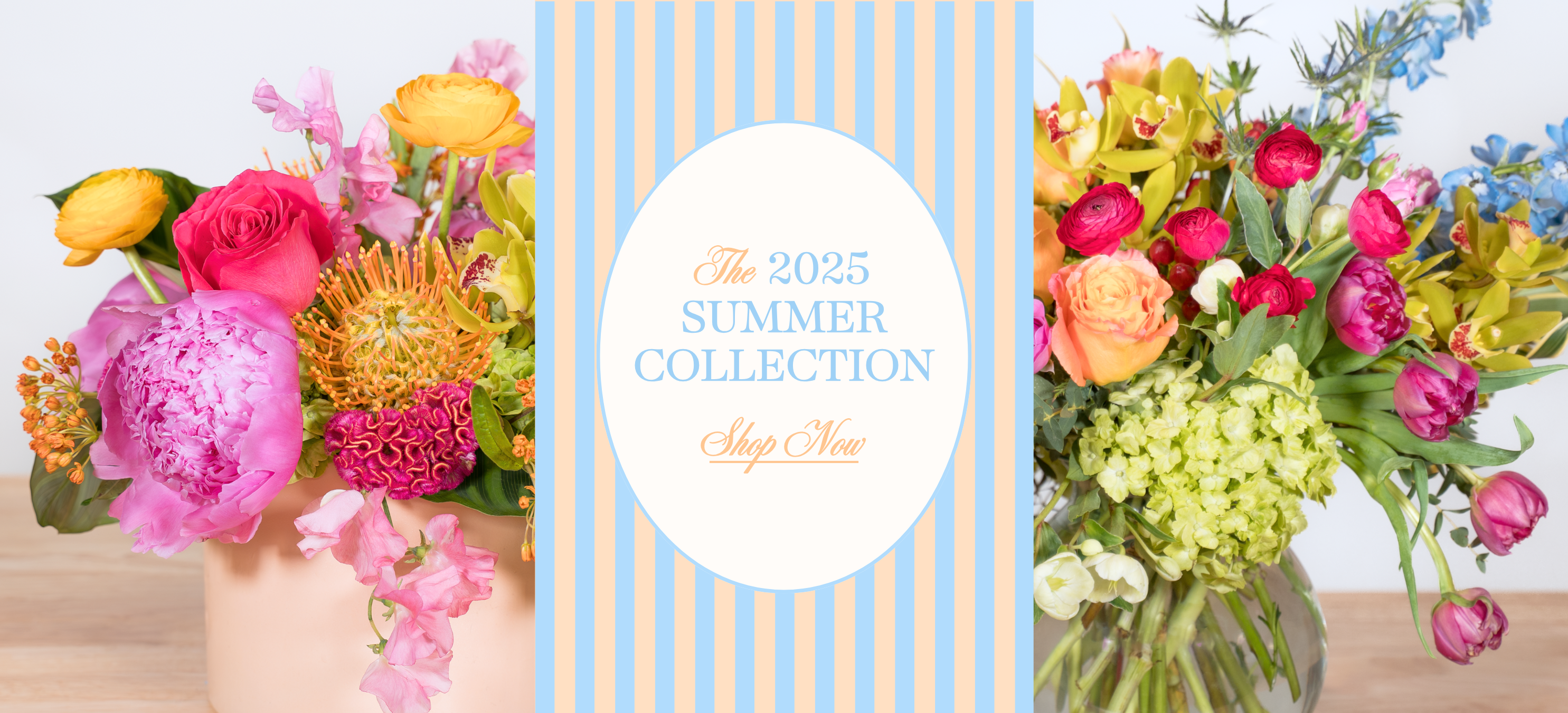 summer_collection_2025_homepage_header.png