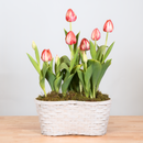 Tulip Double Basket