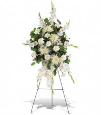 https://cdn.shopify.com/s/files/1/0016/7100/4263/files/whitepromises.jpg?v=1730398050