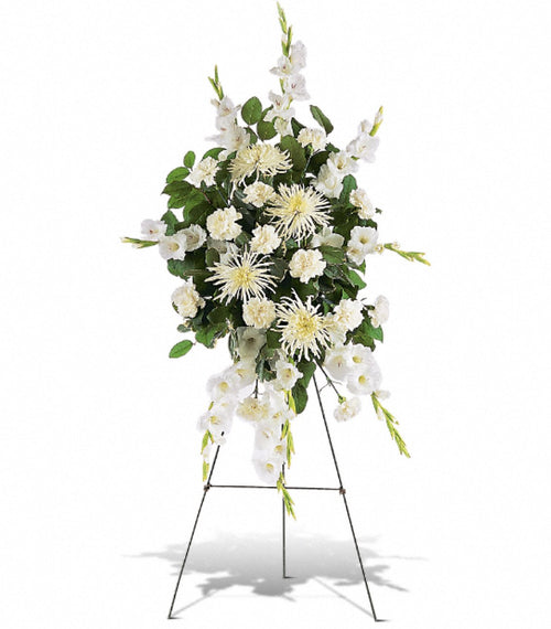 https://cdn.shopify.com/s/files/1/0016/7100/4263/files/whitepromises.jpg?v=1730398050