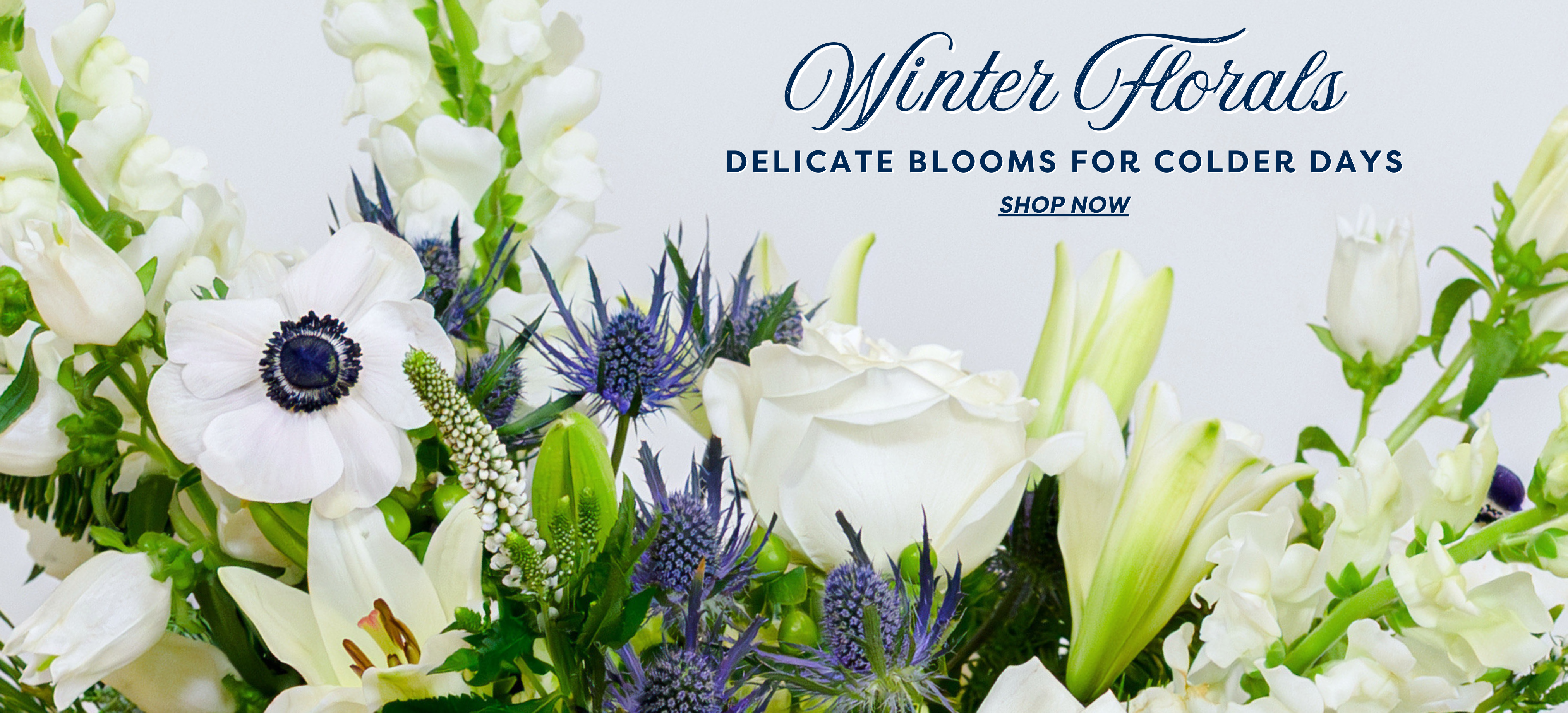 winter_florals_2025_desktop_banner.png