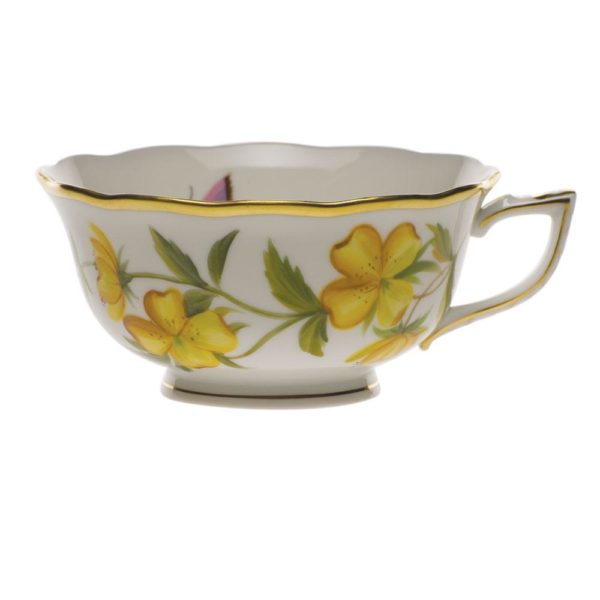 American Wildflowers Tea Cup Evening Primrose