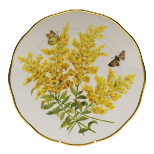 American Wildflowers Dinner Plate Tall Goldenrod