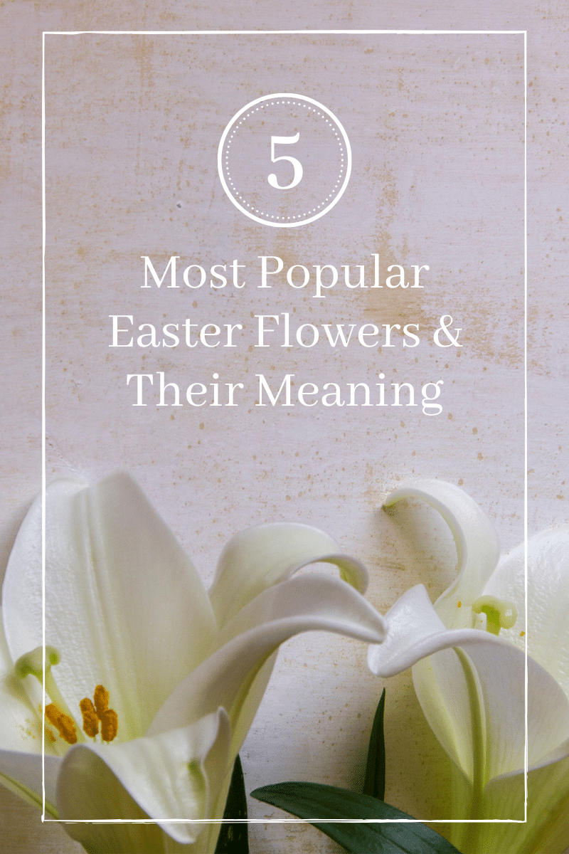 5 Most Popular Easter Flowers and Their Meaning